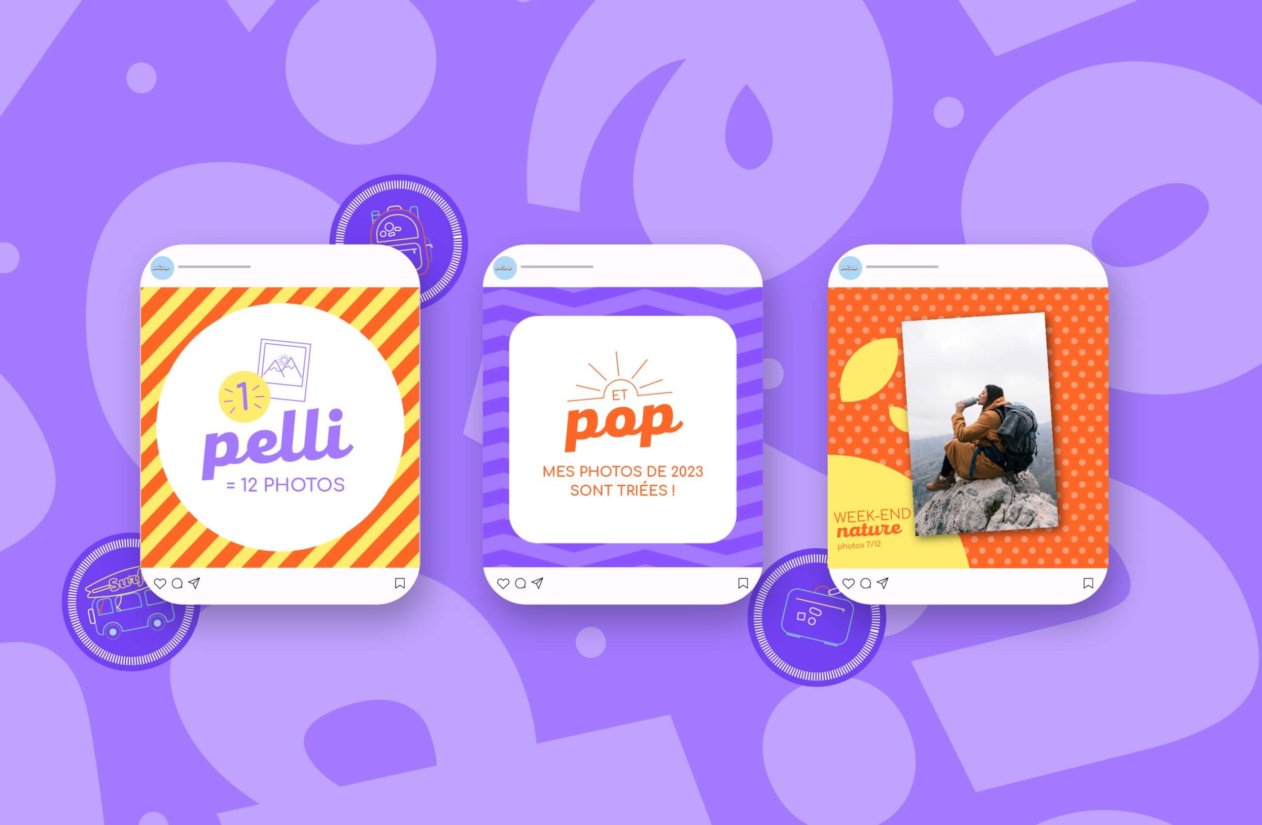 motion design pour pellipop
